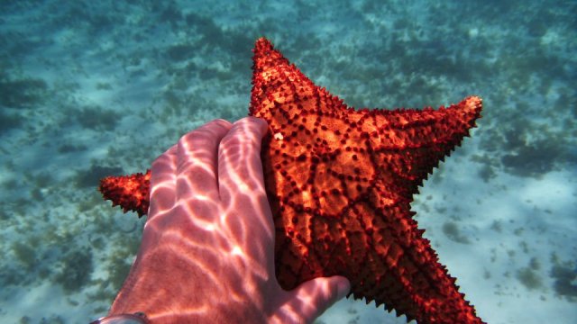 291853_102097179894423_2608663_n